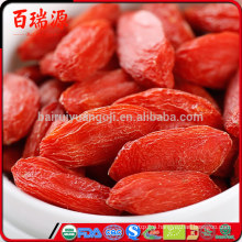 Organic Goji berries goji berry dried in pakistan